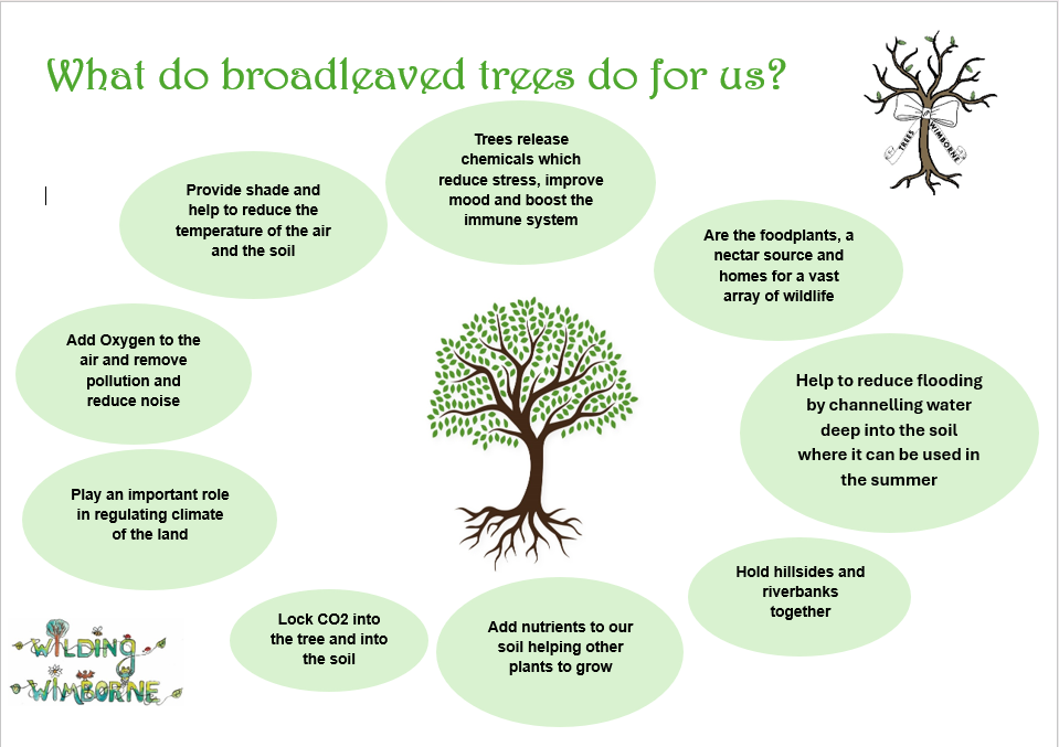 screenshot 2026 04 01 131422